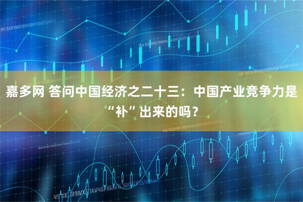 嘉多网 答问中国经济之二十三：中国产业竞争力是“补”出来的吗？