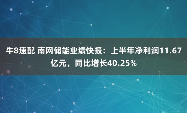 牛8速配 南网储能业绩快报：上半年净利润11.67亿元，同比增长40.25%